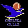 https://img.833zhiboos.com.cn/img/basketball/team/0d36b73786230e17d7d718ab10adab87.png