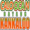 https://img.833zhiboos.com.cn/img/basketball/team/8f4f7a4d7dffd7785640d9ce2d429aa8.png