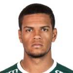 https://img.833zhiboos.com.cn/img/football/player/1495e63fc811824f02fd7fba9d254b1f.png