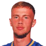 https://img.833zhiboos.com.cn/img/football/player/1ea502df31a0fd652a9f6c4223713521.png