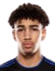 https://img.833zhiboos.com.cn/img/football/player/fb7fd3390bdc25307ce54843fe6472dd.png