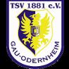 https://img.833zhiboos.com.cn/img/football/team/0425718c842cc1330a6507bdde3c1da4.png