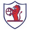 https://img.833zhiboos.com.cn/img/football/team/11fb72f7b5eacfc881ee11bac75871fa.png