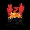 https://img.833zhiboos.com.cn/img/football/team/6df09bff98f2d268a6e16f39ef61804d.png