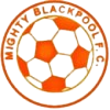 https://img.833zhiboos.com.cn/img/football/team/e7581fc6c38fb3a0ef7fda8456c48353.png